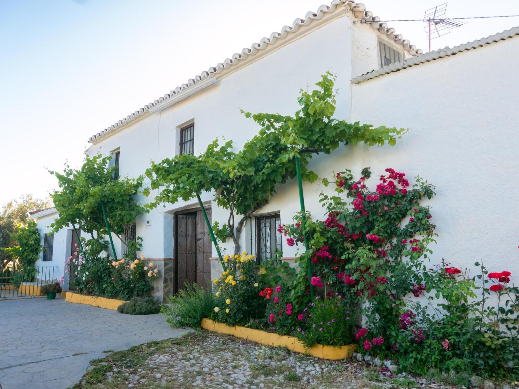 Casa Rural Huerta La Lapa Canete la Real Eksteriør bilde